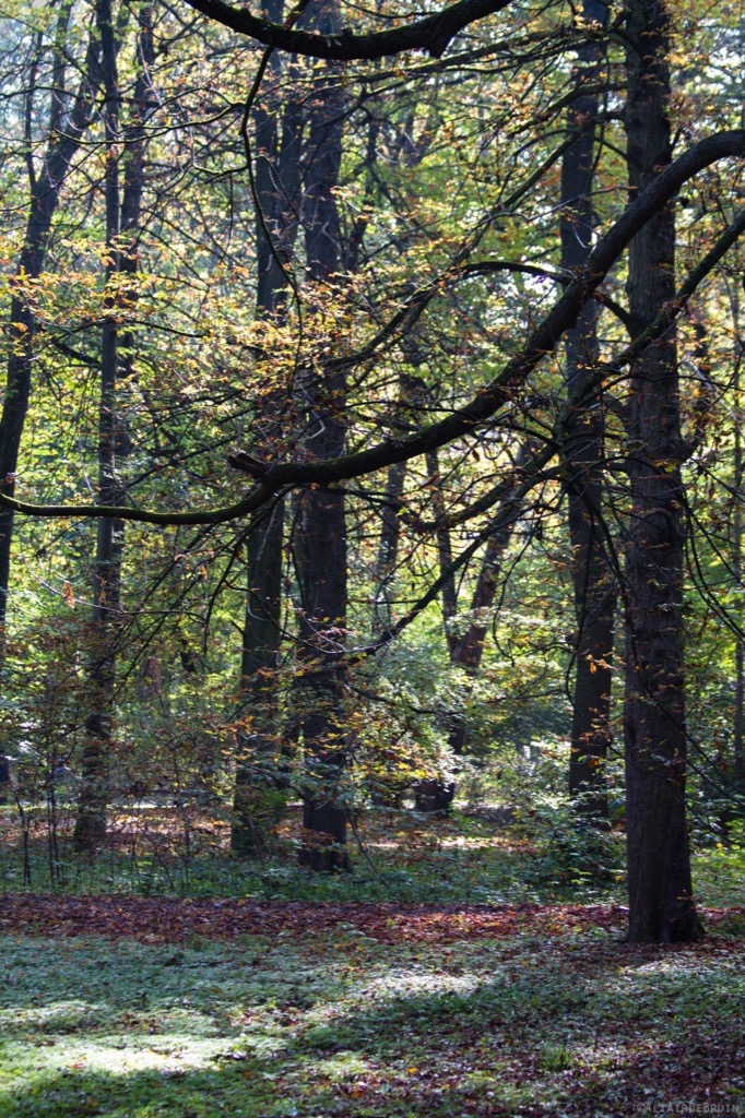Englischer Garten, Munich