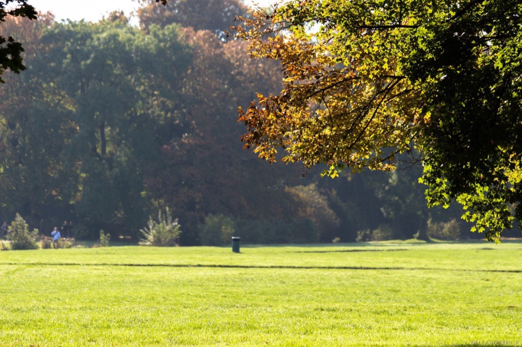 Englischer Garten, Munich