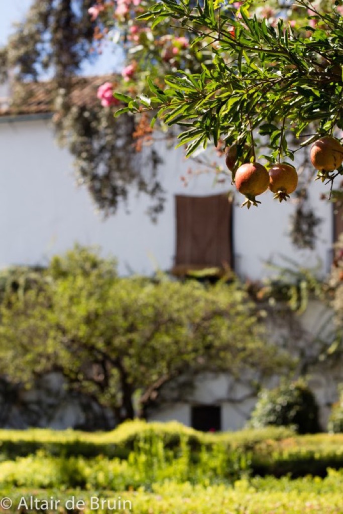 Córdoba