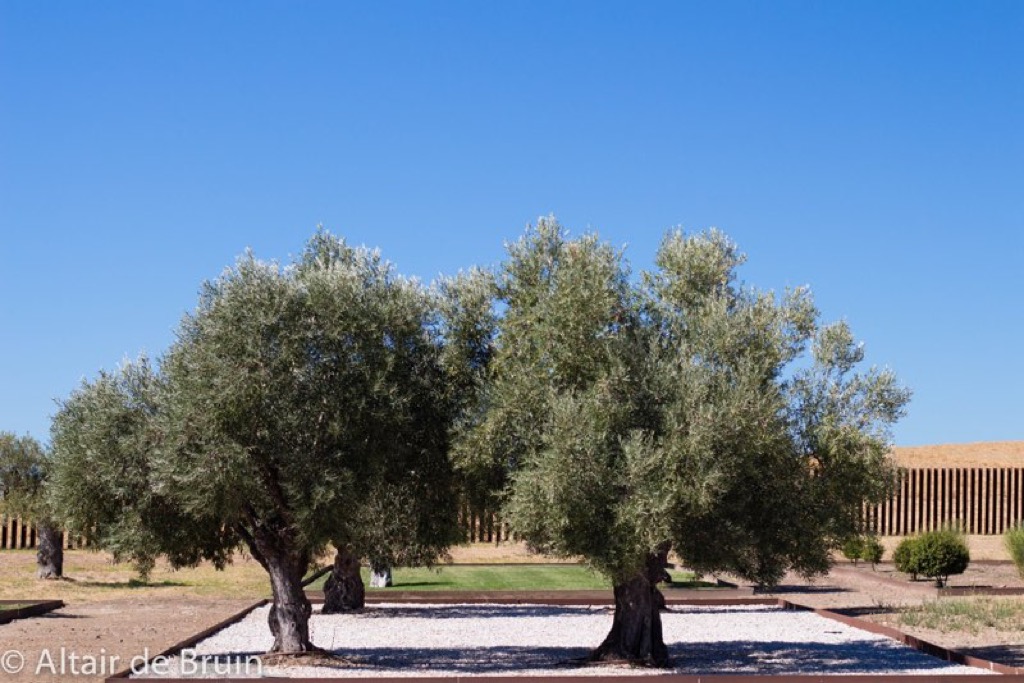Córdoba