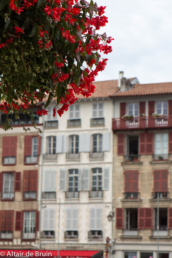 Bayonne