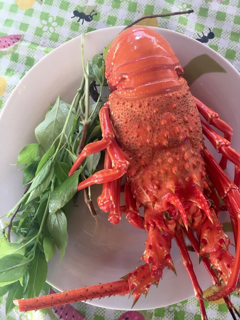 Food, Brazil