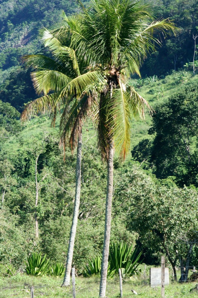 Espírito Santo, Brazil