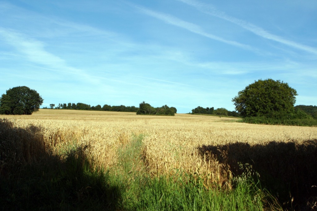 Les Gobets, France