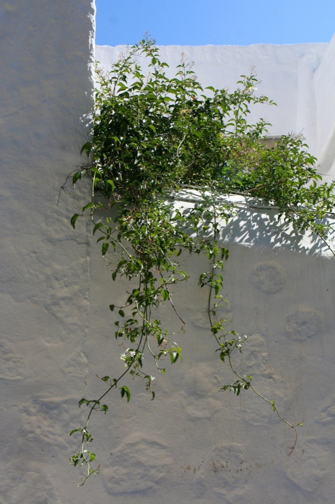 Kos, Patmos, Greece