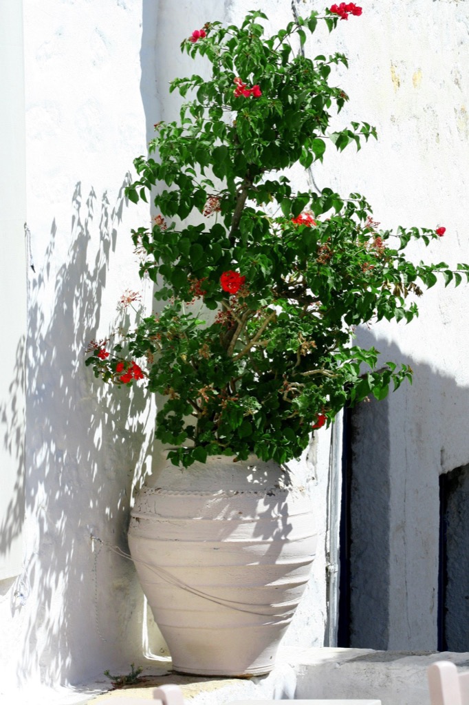Kos, Patmos, Greece