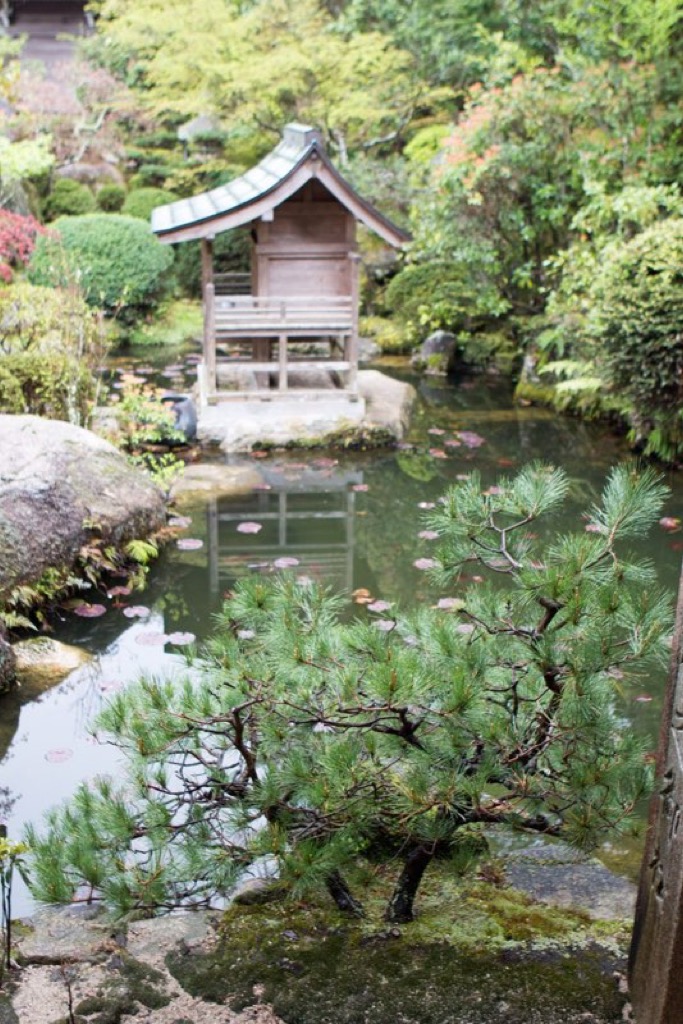 Miajima, Japan