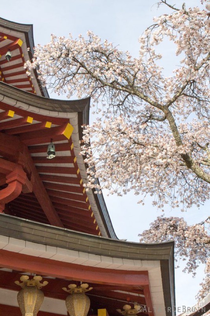 Koya-San, Japan