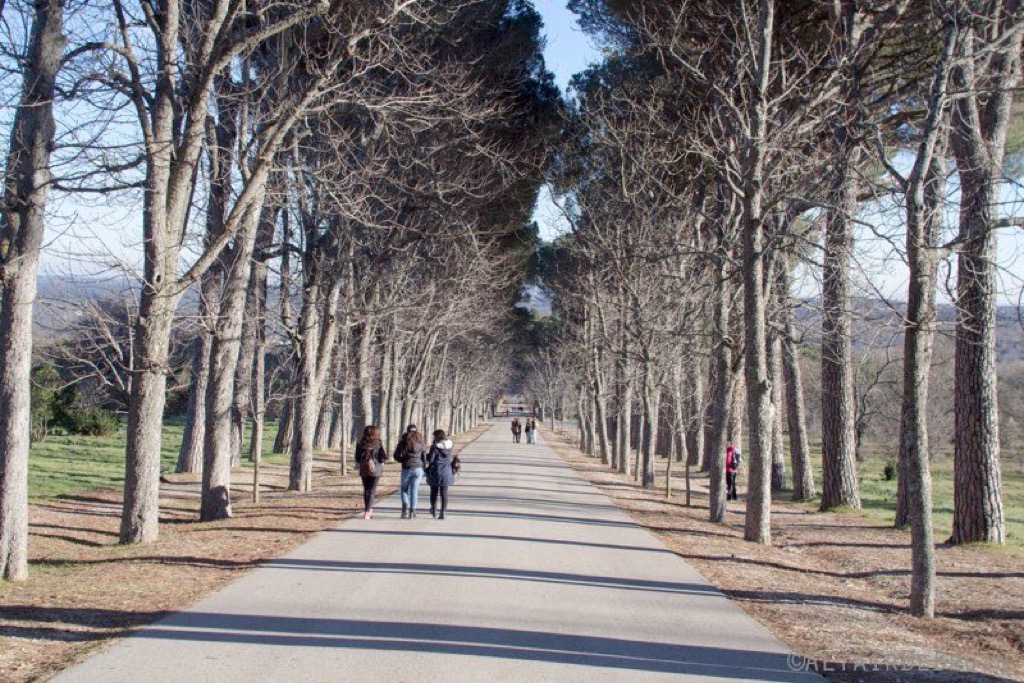 Madrid