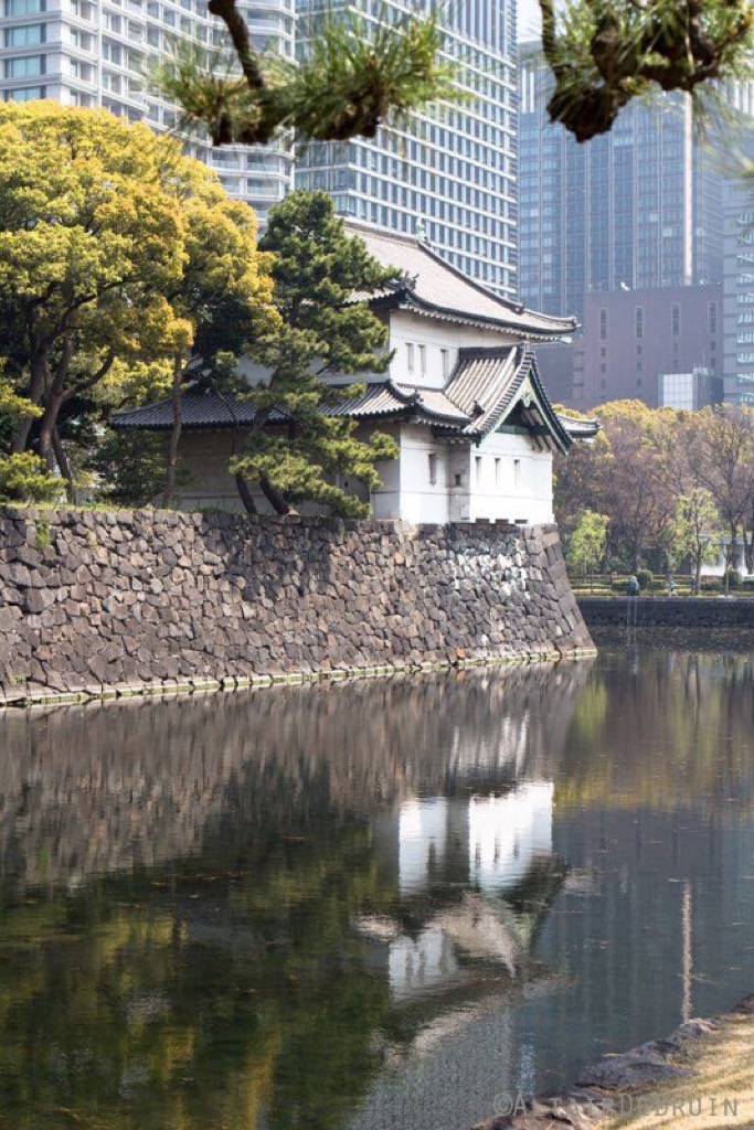 Tokyo and Kyoto