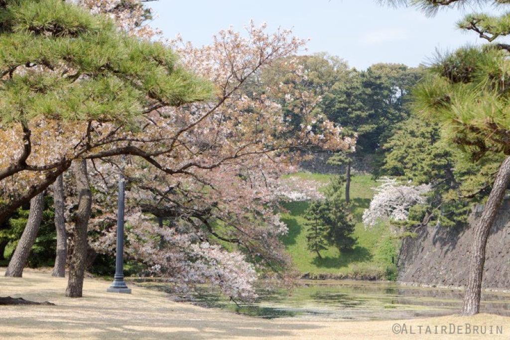 Tokyo and Kyoto