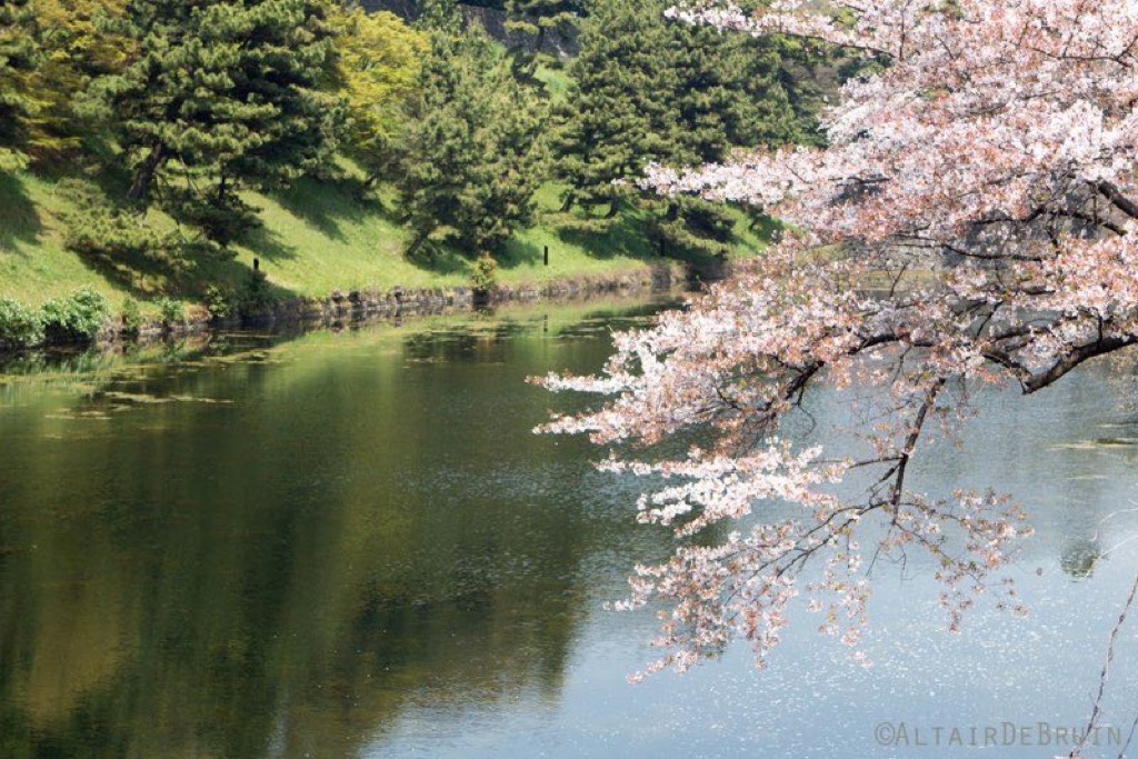 Tokyo and Kyoto