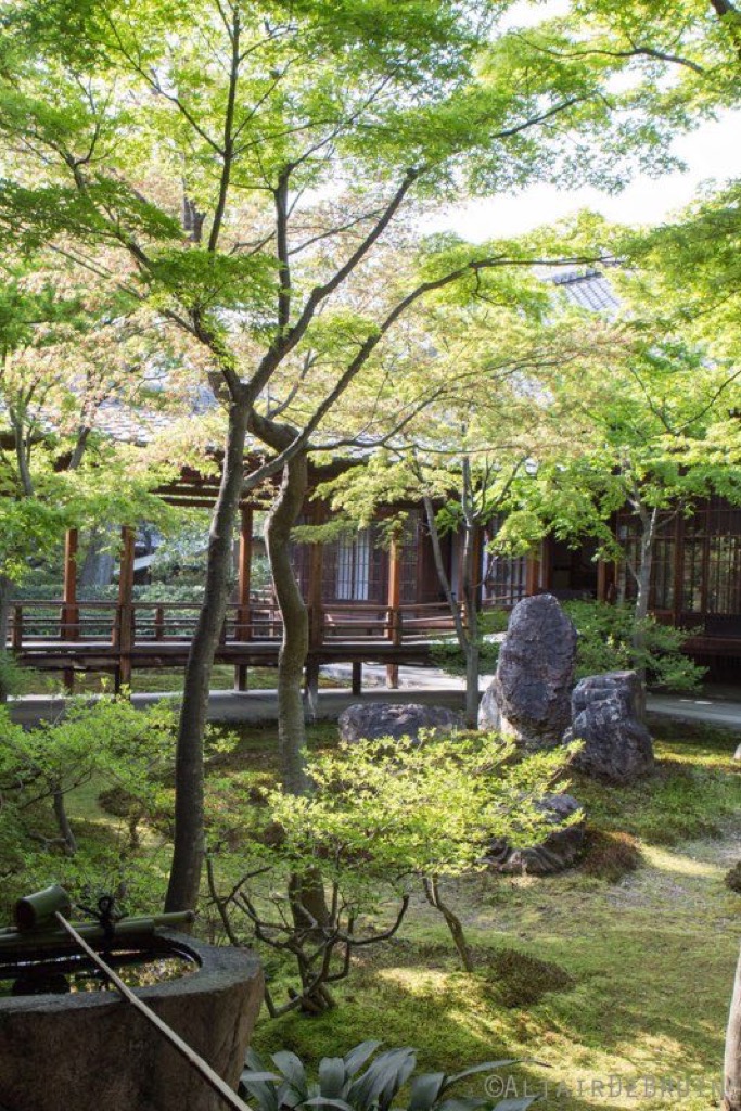 Tokyo and Kyoto