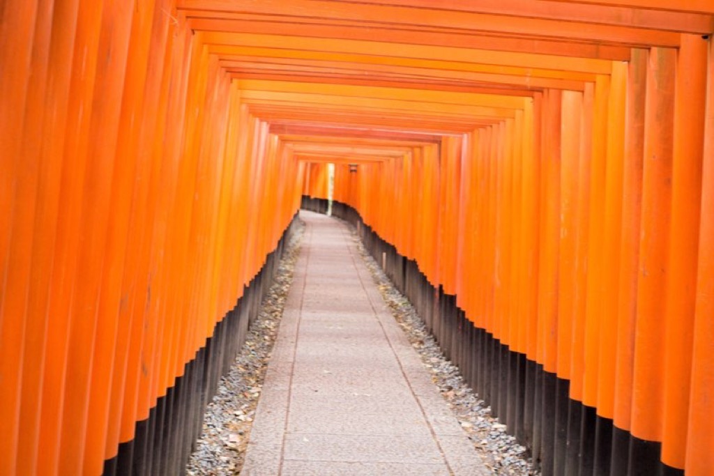 Tokyo and Kyoto