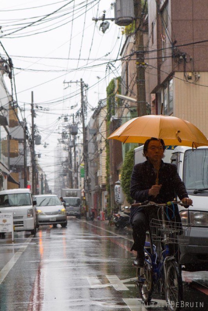 Tokyo and Kyoto