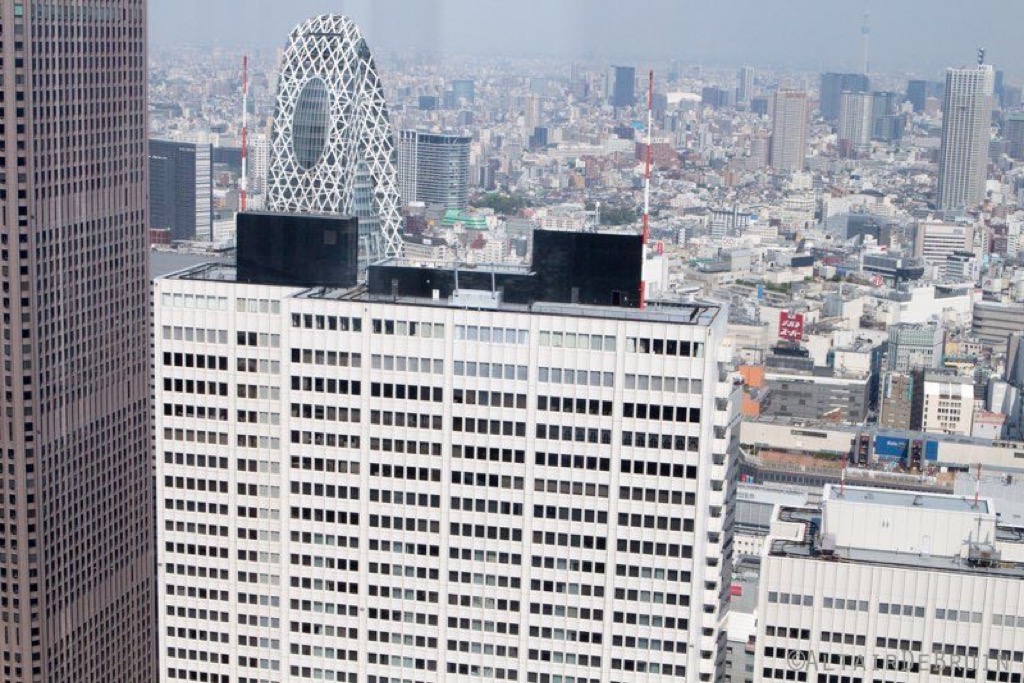 Tokyo and Kyoto