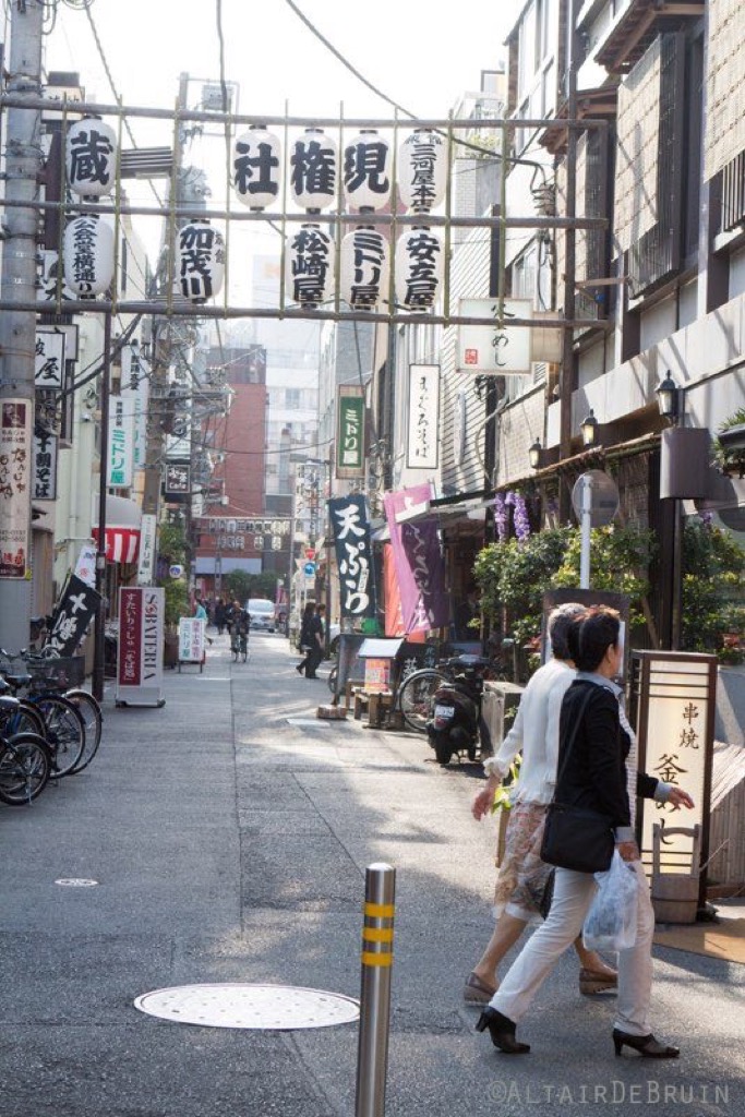 Tokyo and Kyoto