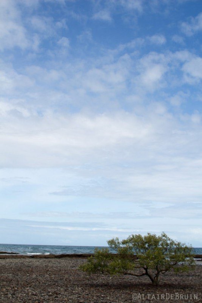 Road Trip, Australia