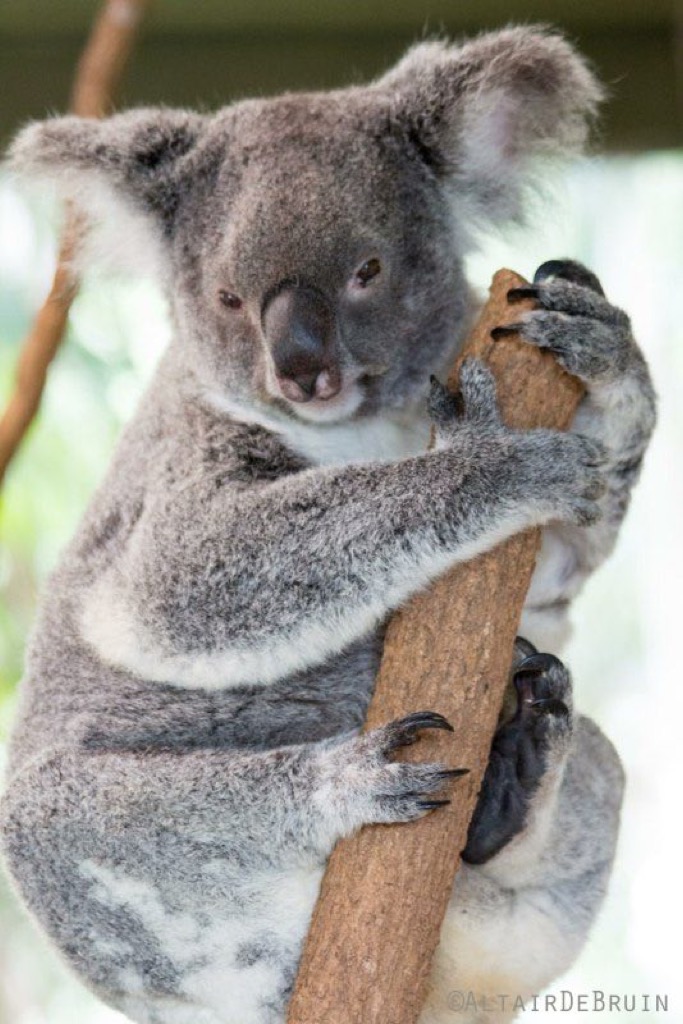 Brisbane, Australia