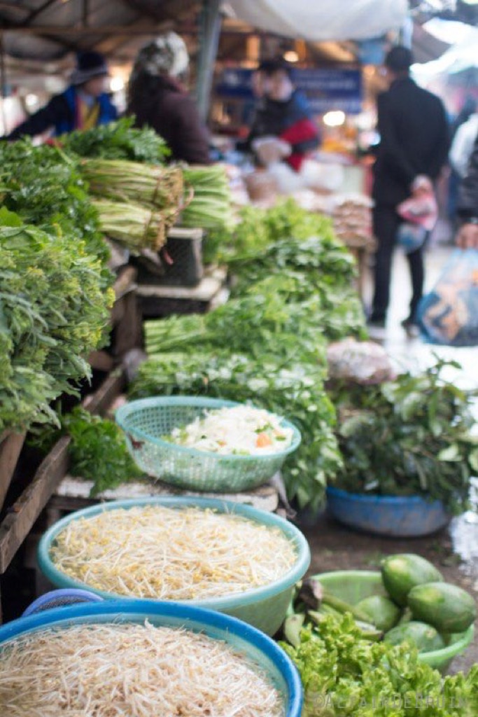 World Trip - Vietnam