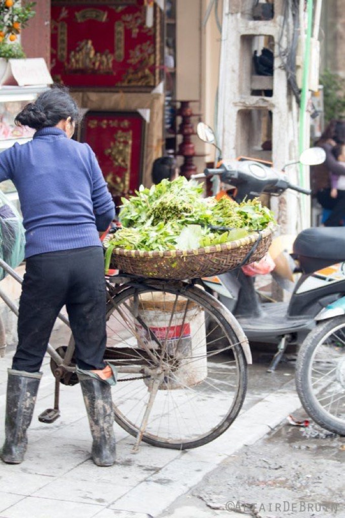 World Trip - Vietnam